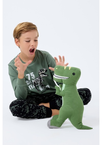 Rolypoly Erkek Çocuk Yeşil Pijama Takım Rp3740-c-v1