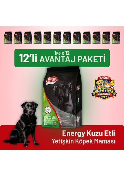 Kuzu Etli Yetişkin Köpek Maması - 12 Adet