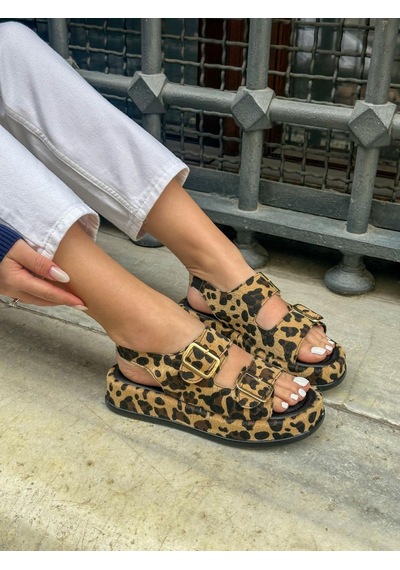 Erva'nın Butiği Leopar Jenny Gold Toka Detay Kadın Sandalet-5742