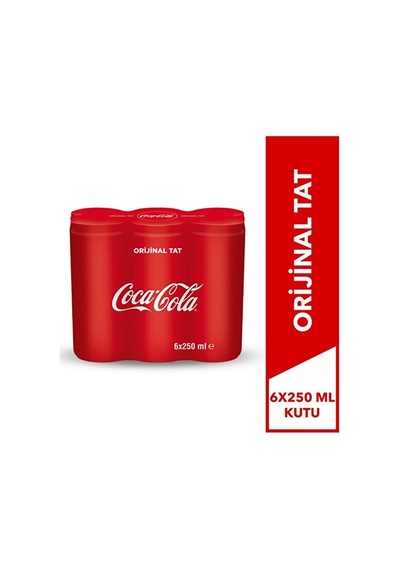 Coca Cola 6x250 Ml Kutu
