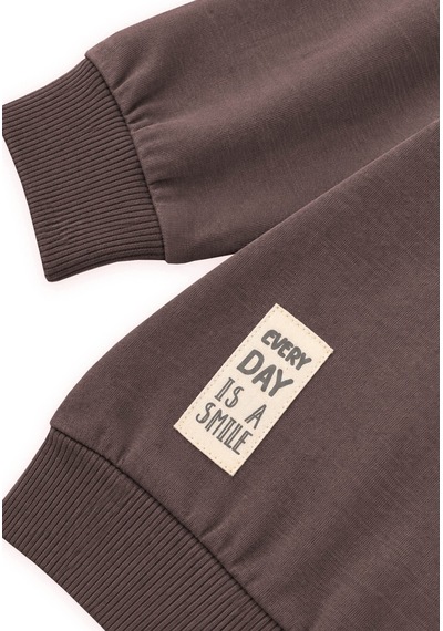 Cigit Etiket Detaylı İnce Mevsimlik Sweatshirt 2-10 Yaş Kahverengi
