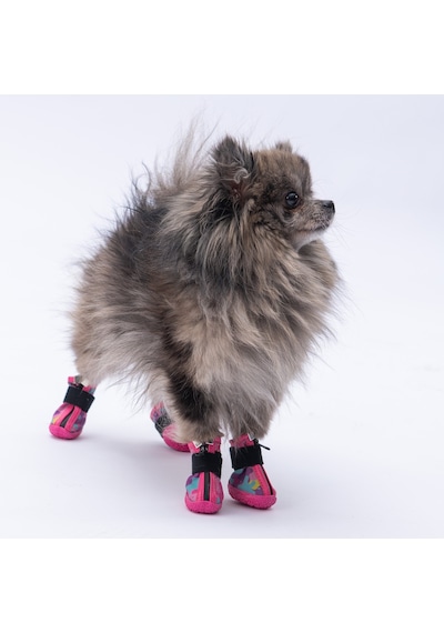 Pawstar Rosea Camouflage Köpek Ayakkabısı