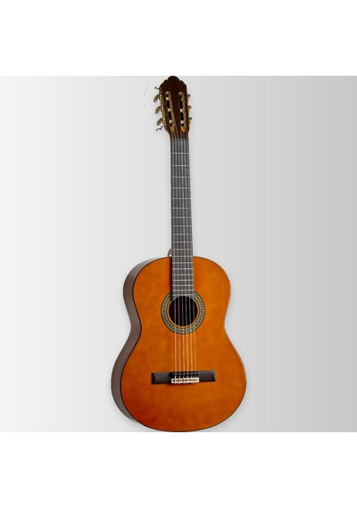 Arrow Calma 4/4 Gloss - Classical Guitar 4/4