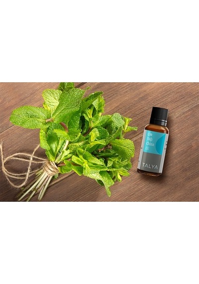 Talya Çin Yağı 20 ML