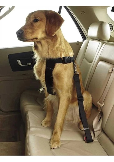 Evcil Hayvan Araç Emniyet Kemeri Kedi Köpek Araba Oto Tasması Oto Aksesuarları Siyah Çok Renkli