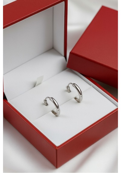 Çekirdekjewelry 925 Ayar Gümüş Düz Sade Halka Küpe Gri
