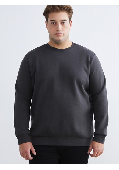 Lcwaıkıkı Classic Antrasit Büyük Beden Bisiklet Yaka Erkek Sweatshirt