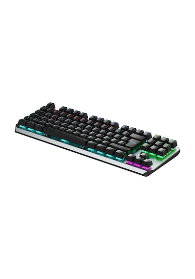 Aula F2067 TKL RGB Makrolu Kablolu Mekanik Oyuncu Klavyesi