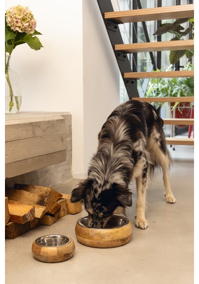 Beeztees Dbl Köpek Mama Su Kabı, Dışı Masif Ahşap, Paslanmaz Çelik, 21cm, 1300ml