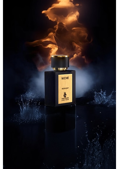 Paul David Redolent Premium Lüks Kalıcı Unisex Parfüm EDP 50 ML