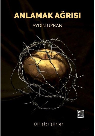 Anlamak Ağrısı / Aydın Uzkan