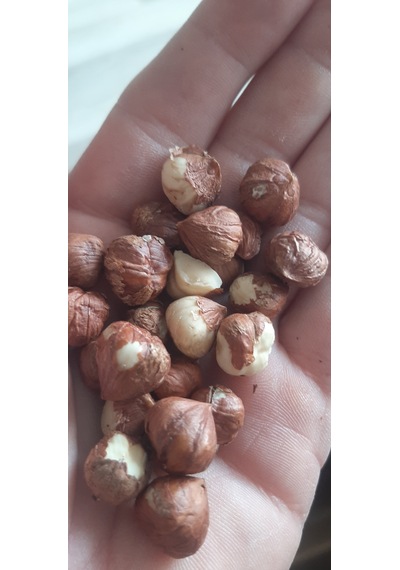Naturel İç Fındık--250gr