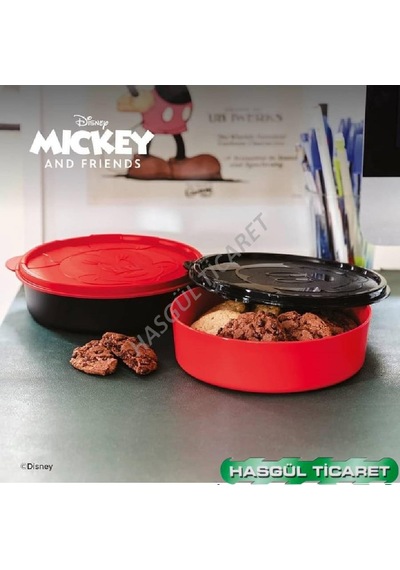 Tupperware Beslenme Kabı Minnie Mickey Saklama Kutusu Hsgl