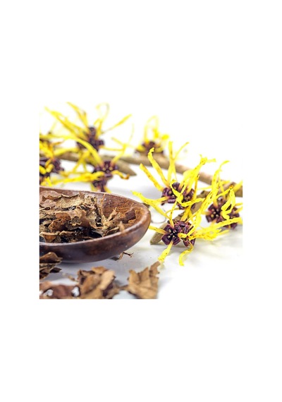 Dickinsons Witch Hazel Pore Perfecting Tonik 473ML