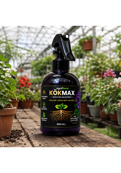Kökmax Ev Bitkileri İçin Kök Güçlendirici Ve Çiçek Coşturucu Sprey 500 ML