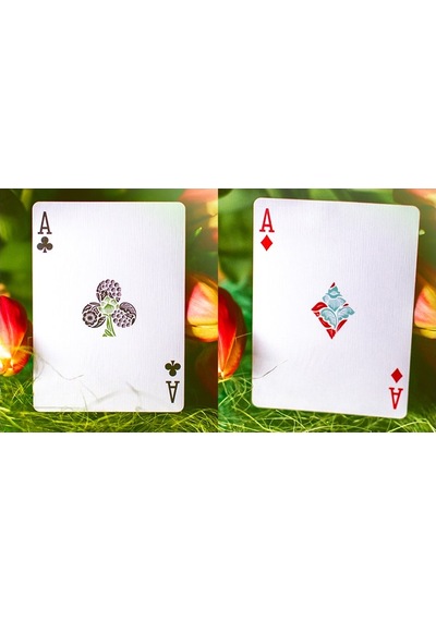 Cartamundi Butterfly Seasons Spring Marked Premium Oyun Kağıdı Limited Edition Koleksiyonluk İskambil Kartları