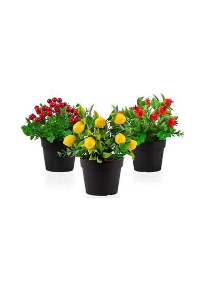 3 Lü Set Siyah Mini Plastik Saksıda Yapay Kokina, Limon Ve Nar Çiçeği
