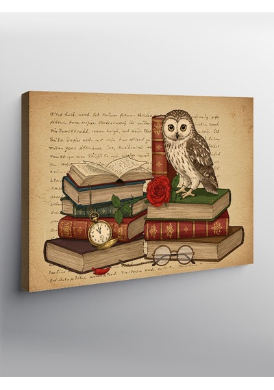Kanvas Tablo Kitap Ve Bilgelik Baykuşu