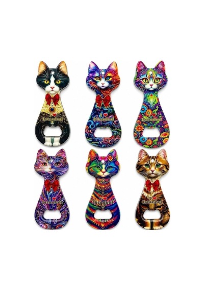 Hubrendy Kargo Kedi Tasarımı İstanbul Temalı Buzdolapı Süsü Magnet Alk5408