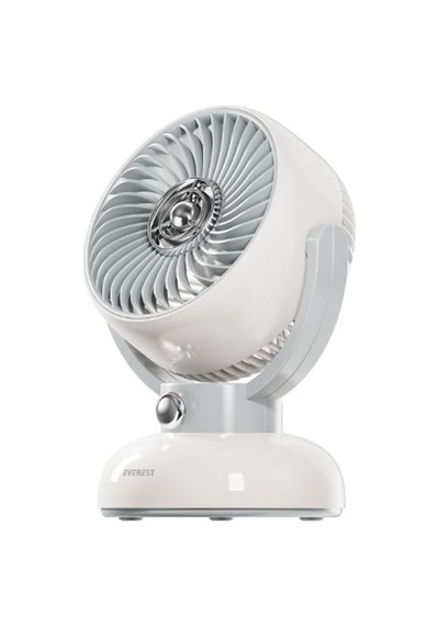 Everest Efn12 Krem 1200mah 3 Hız Kademe Led Işıklı Retro Masaüstü Usb Fan 1 Adet