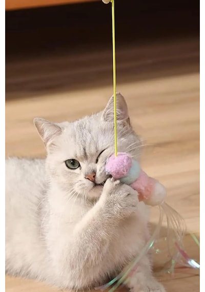 Tırtıl Kedi Oyuncağı, Kendinden Yapışkanlı, Zilli, Elastik İpli, Asılı Kedi Oyuncağı