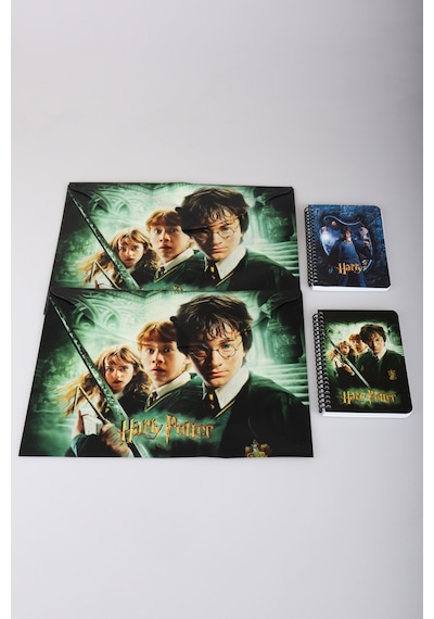 Dekomus İle Lisanslı Harry Potter 2 Adet Çıtçıt Dosya Ve 2 Adet Spırallı A6 Çizgili Not Defteri / Bloknot Okul Seti Altın
