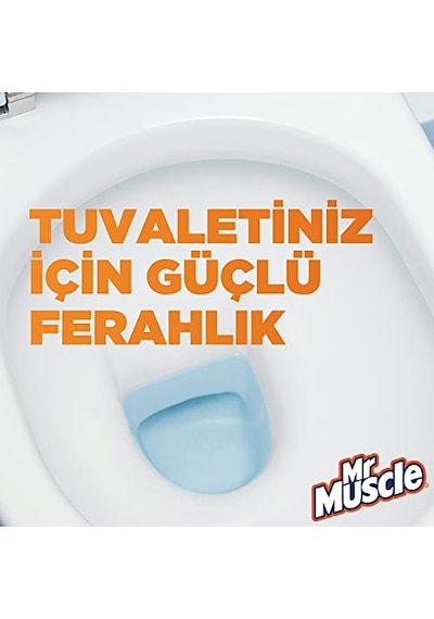Etkili Wc Blok 2 Li Katı Tuvalet Bloğu Beyaz Sabun Kokulu 2li Paket