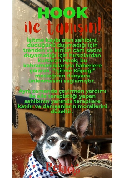 Petjoo 7.Hook Kırmızı-Yeşil Qr'lı Köpek Künyesi