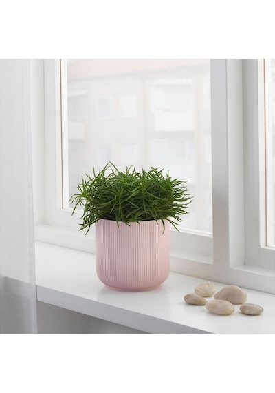 Seramik Saksı, Pembe, 12 Cm 3 Adet