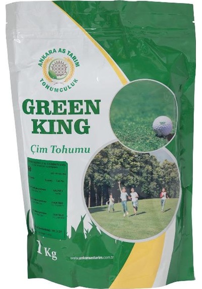 Green King Çim Tohumu Tamir Yama 1 Kg