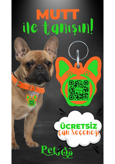 Petjoo 10.Mutt Yeşil-Turuncu Qr'lı Köpek Künyesi