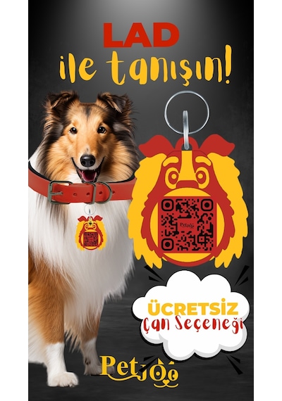 Petjoo 23.Lad Sarı-Kırmızı Qr'lı Köpek Künyesi