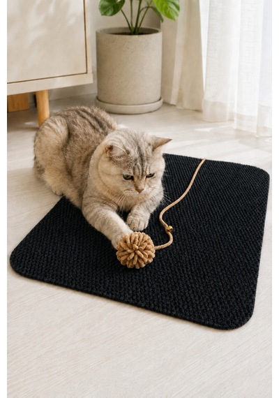 Kedi Tırmalama Paspası Çıngıraklı Toplu Oyun Halısı Kedi Yatma Dinlenme Alanı Tırmalama Matı Ev İçi Kedi Oyuncağı