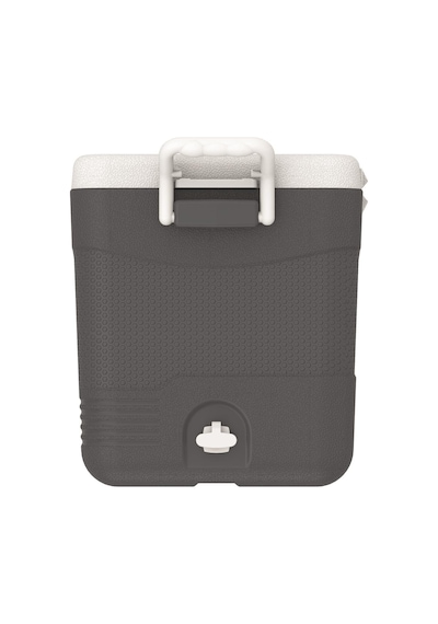 Icepeak Coolcraft 46 Buzluk 41.6 Litre-füme Füme