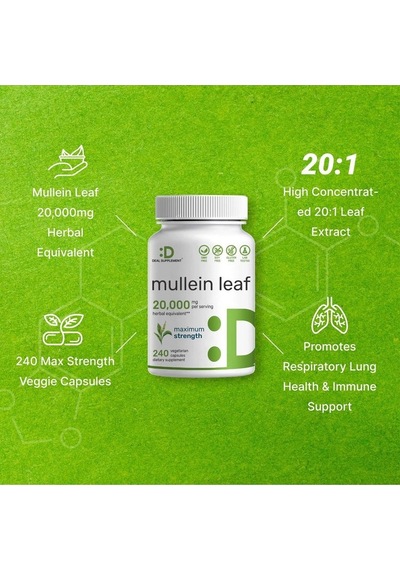 Mullein Leaf 20,000mg Herbal Equivalent, 240 Veggie Capsules