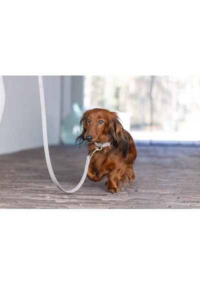 Hnrlıshp Beeztees Dbl Köpek Tasması, Kadife, Gri, 26-40cm, 15mm Çok Renkli