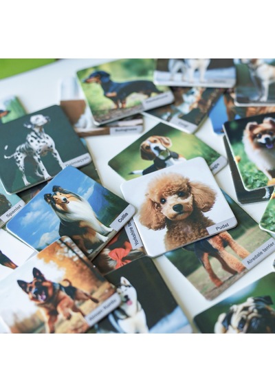 Köpek Cinsleri Hafıza Geliştirme Oyunu 48 Kart 24 Farklı Köpek Irkı +3 Yaş Eğitici Oyun