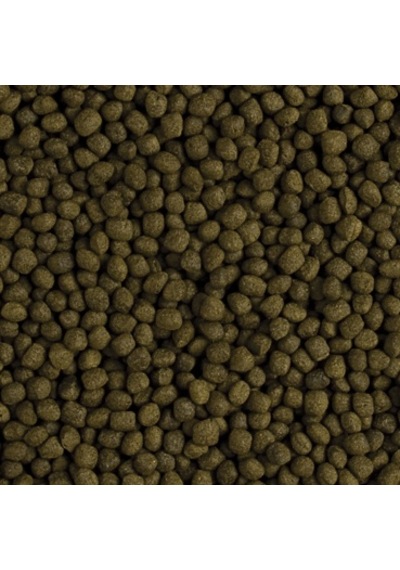 Tropical Flower Horn Adult Pellet 250 Gram Açık