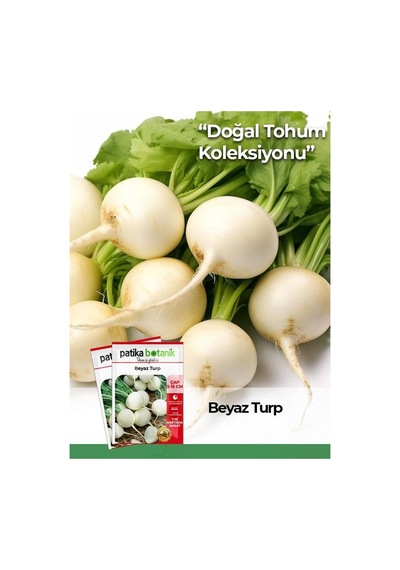 500 Adet Beyaz Turp Tohumu