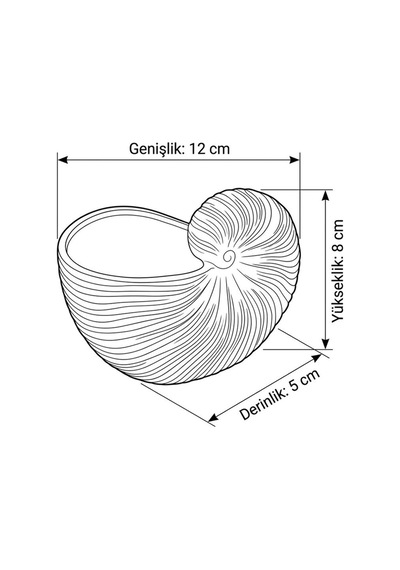 Dekoratif Beyaz Taş Tozu Deniz Kabuğu Vazo - Minimalist Bohem Nautilus Saksı & Obje Beyaz