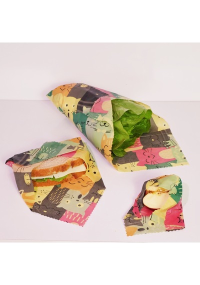 Beebezz 3'lü Set / Kediler Kedi Desenli