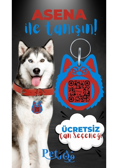 Petjoo 25.Asena Mavi-Kırmızı Qr'lı Köpek Künyesi