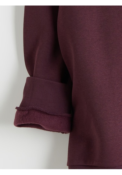 Lcwaıkıkı Classic Mürdüm Dik Yaka Uzun Kollu Erkek Kalın Sweatshirt