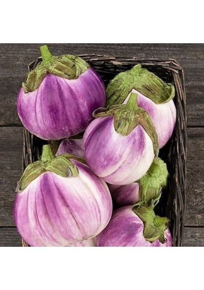 Rosa Bianca Etli Patlıcan Tohumu 15 Tohum