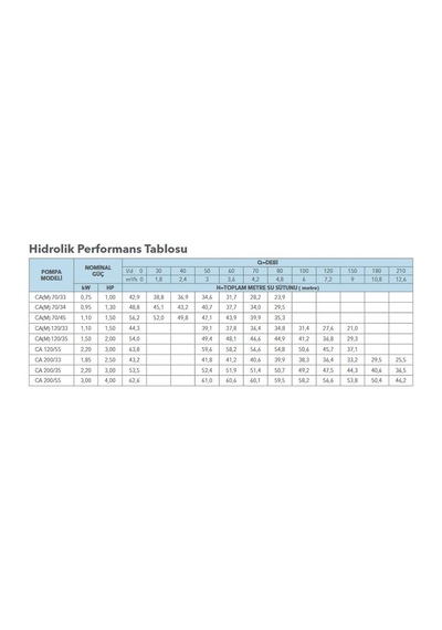 Lowara Ca 200/33/N/D Çift Kademeli Santrifüj Pompa N Versiyon