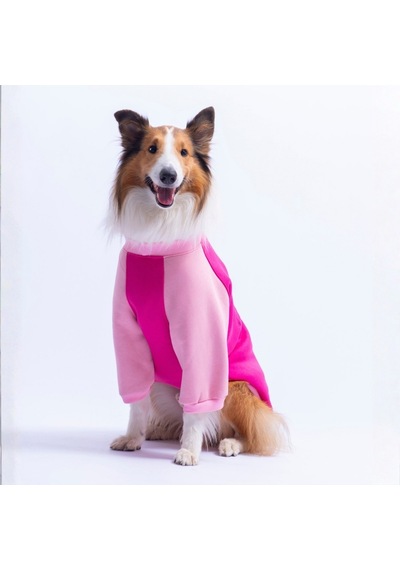 Fuşya Boston Pawstar Sweat Orta-büyük Irk Köpek Sweatshirt Köpek Sweat Köpek Kıyafeti Fuşya Boston Pawstar Sweat Orta-büyük Irk Köpek Sweatshirt Köpek Sweat Köpek Kıyafeti