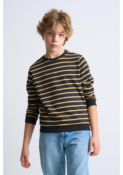 Alexandergardi Alexandergardı Çizgili Bisiklet Yaka Çocuk Sweatshirt Antrasit