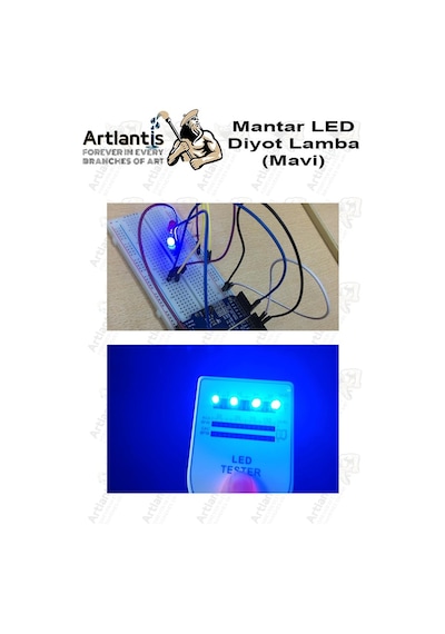 Mavi Mantar Led Diyot Lamba 30 Lu 1 Paket Mavi 4.8 Mm Mini Mantar Led Lamba Deney Bilim Proje Arduino Işığı