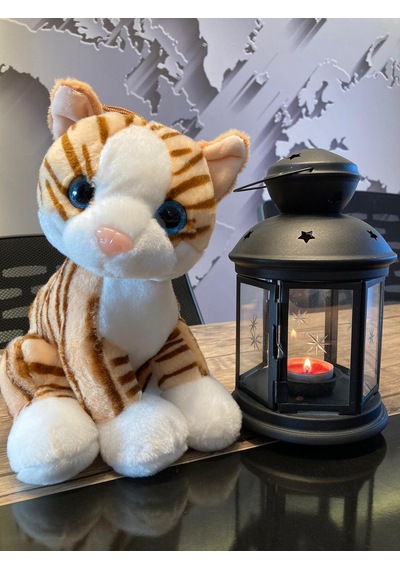 Selay Oyuncak Krem Peluş Kedi 28Cm