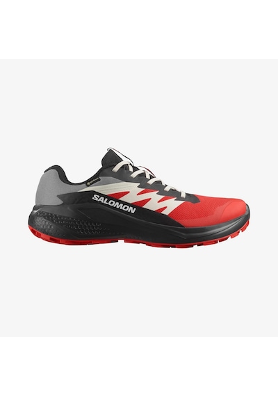 Salomon L47975200 Alphaglide Gore-tex Erkek Koşu Ayakkabısı Renkli